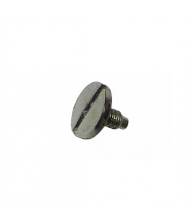 Omega 1012 ratchet wheel screw part